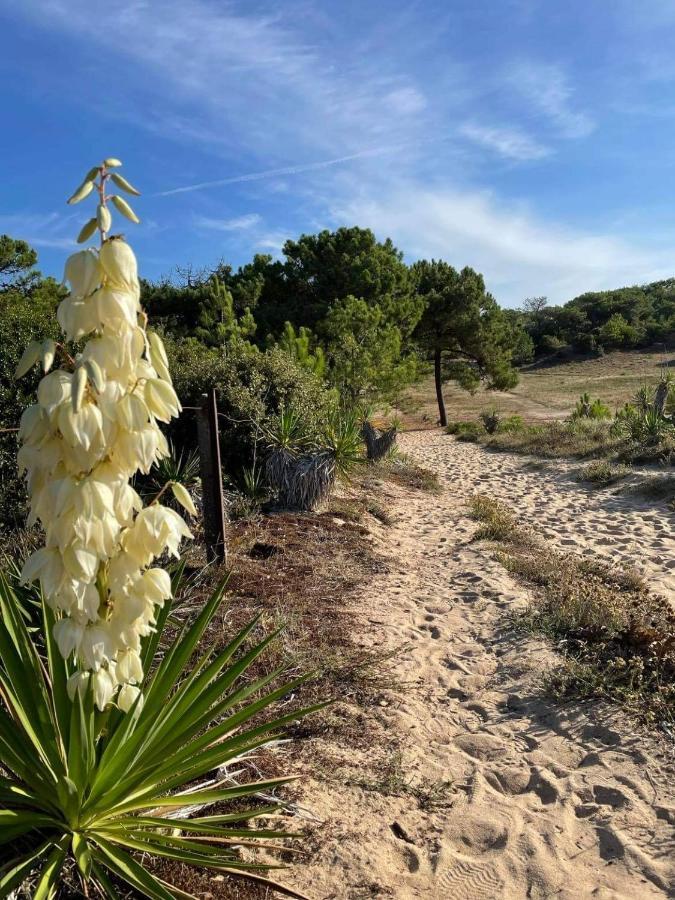 Maison Dans Les Dunes バルバトル エクステリア 写真