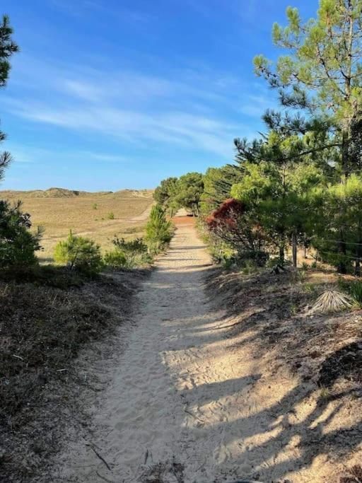 Maison Dans Les Dunes バルバトル エクステリア 写真